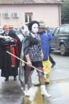 Carnevale Faleriano